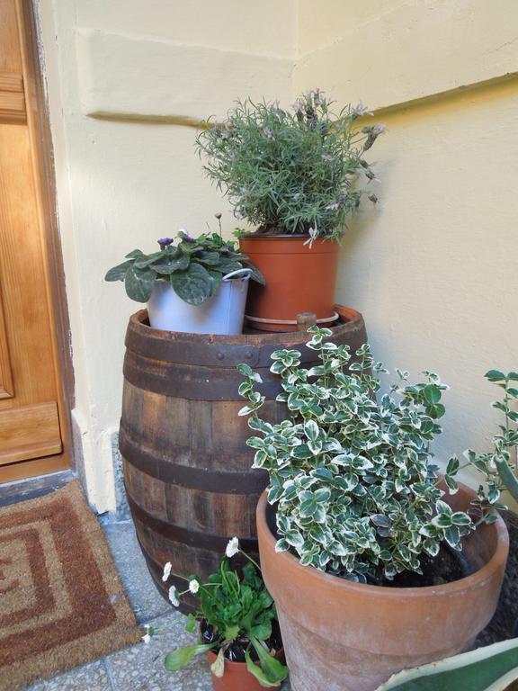 Apartmán Rustic Elegance Budapešť Exteriér fotografie